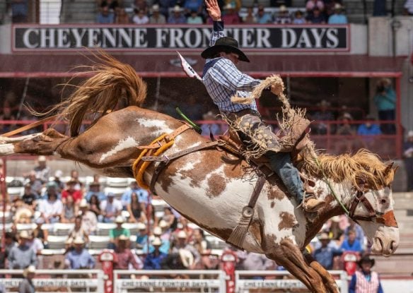 man on horse at Cheyenne Frontier Days