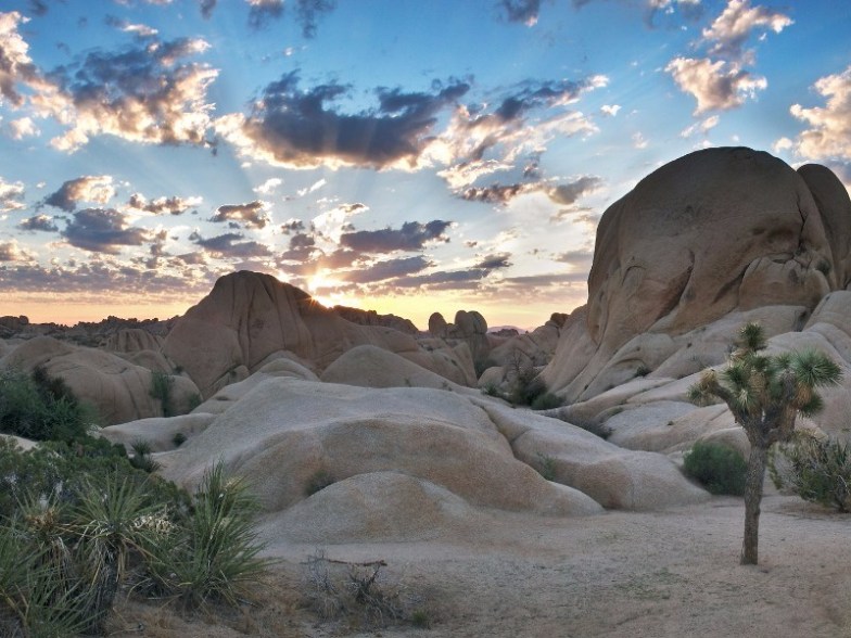 Joshua Tree National Park