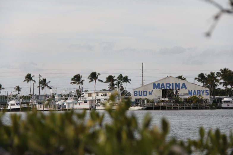Bud ‘N Mary’s Lodge - Islamorada