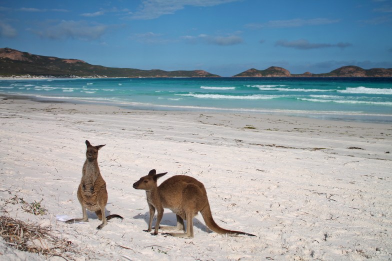 Lucky Bay