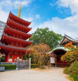 exterior of Tochoji Temple