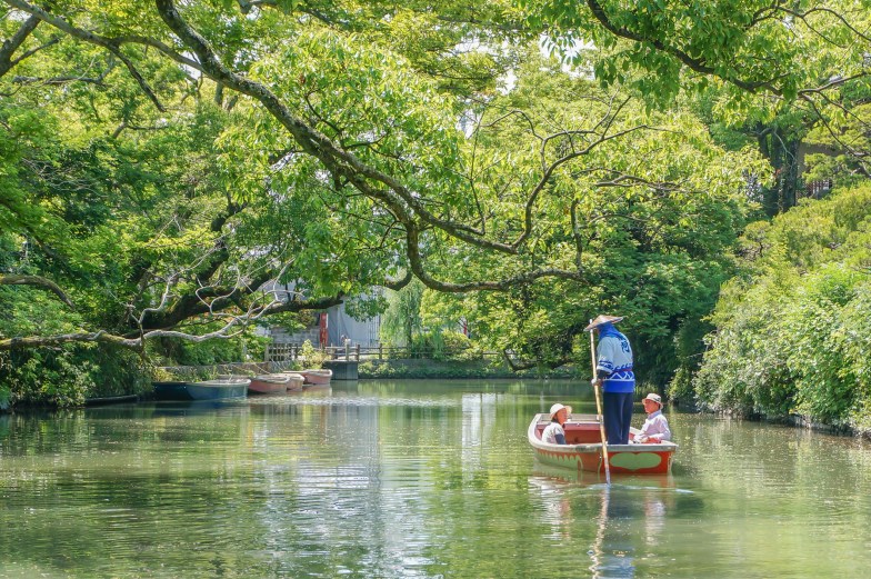 Cruising the Yanagawa
River