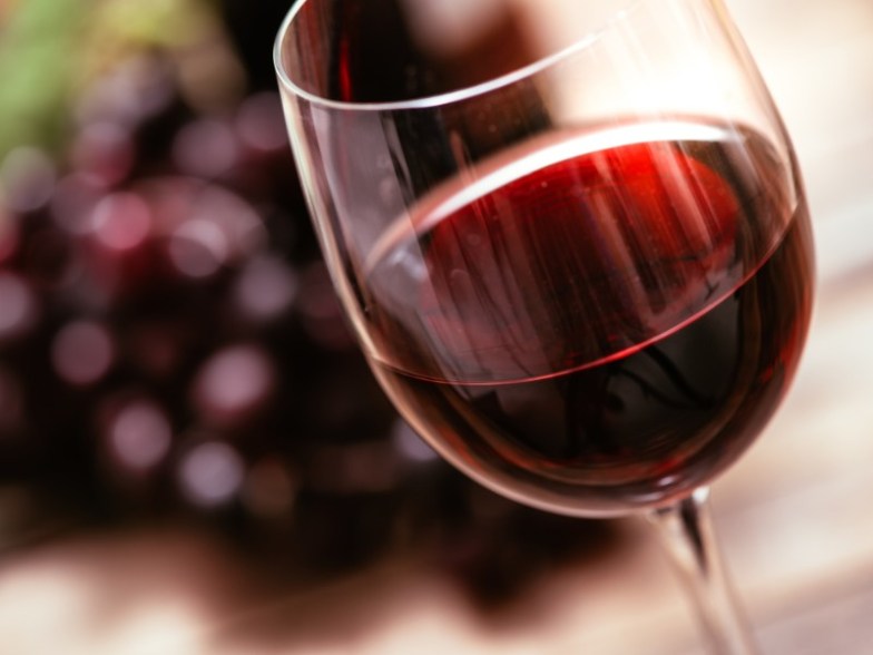Italian red wine tasting 