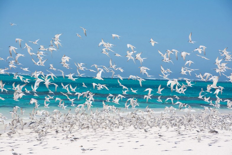 Turquoise Bay