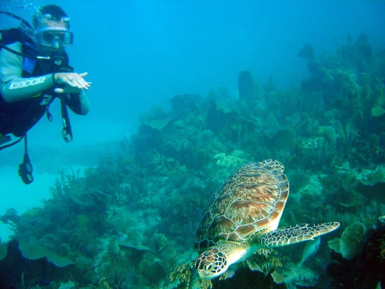 John Pennekamp Coral Reef State Park, Key Largo