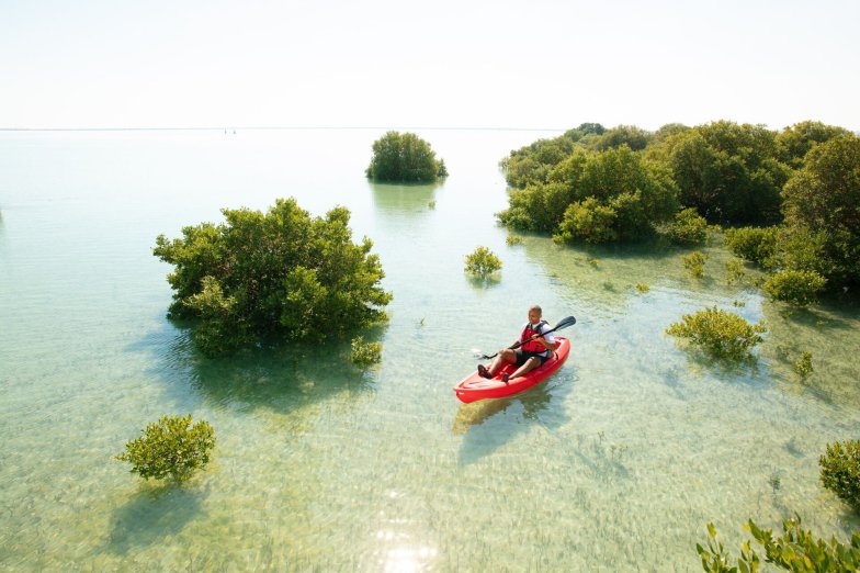 The Mangroves of Al Thakira