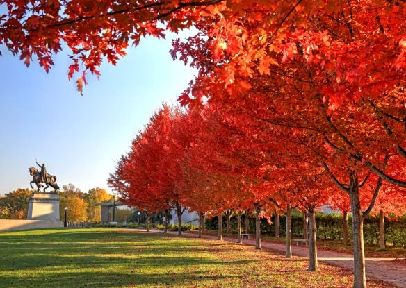Fall foliage around the Apotheosis of St. Louis statue of King Louis IX of France in Forest Park, St. Louis, Missouri.