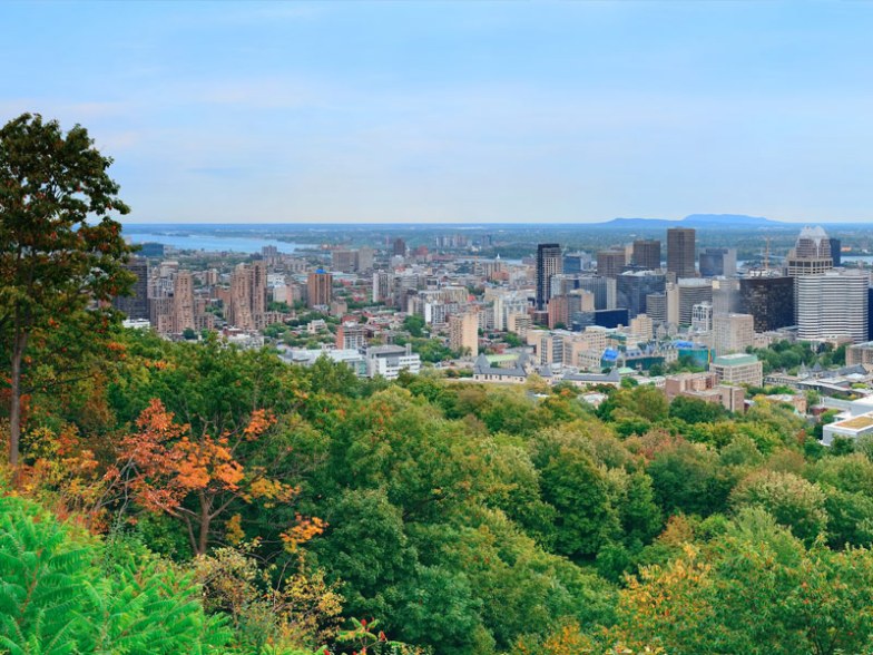 Mont Royal Lookout