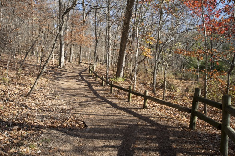 Hiking trails in the Nashville area to explore