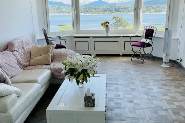 Stunning Lake View Apartment - Geneva