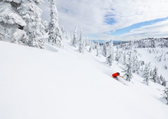 Skier descending down the snowy forest trail